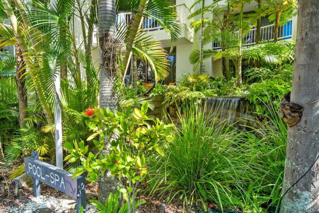 Coco Bella Dream In Surfers Paradise Gold Coast Bagian luar foto